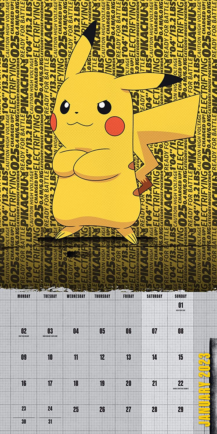 Pokemon Pikachu Wandkalender für Kinder 2023 Danilo