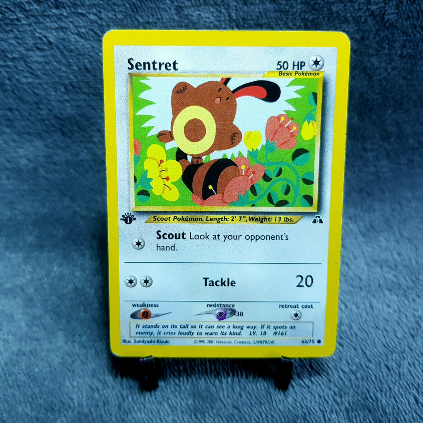 Pokemon Card | Sentret 63/75 | 1. Edition | Neo Discovery